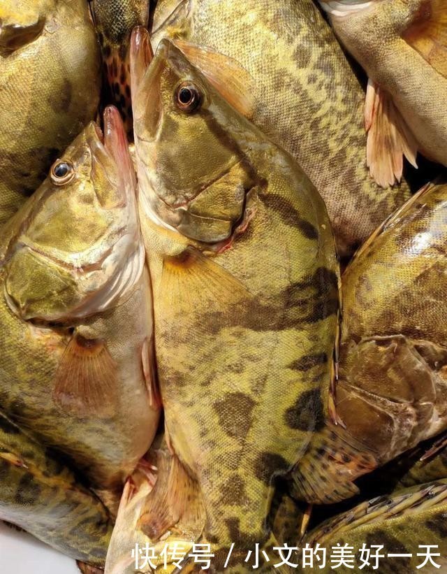 腌制|徽州一绝,闻着有多臭吃着就有多香