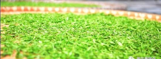 交流|乌龙红茶工艺交流