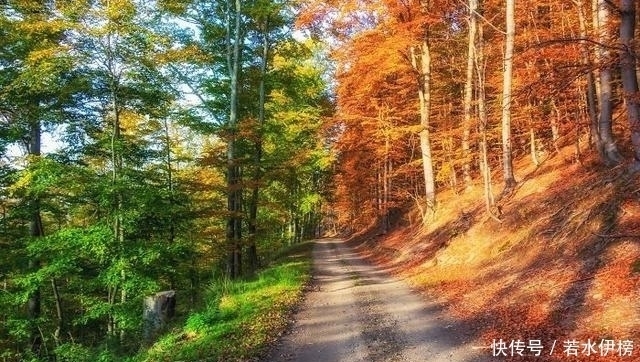  震撼|26张“活久见”的震撼图片，每一张都来之不易