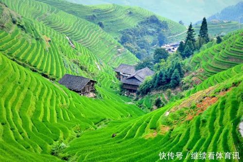  天然居|龙脊梯田天然居客栈：龙脊梯田云雾环绕犹如美丽的面纱