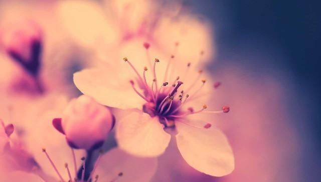  句句|最值得收藏的经典语录，句句深入人心，说出了你的心声