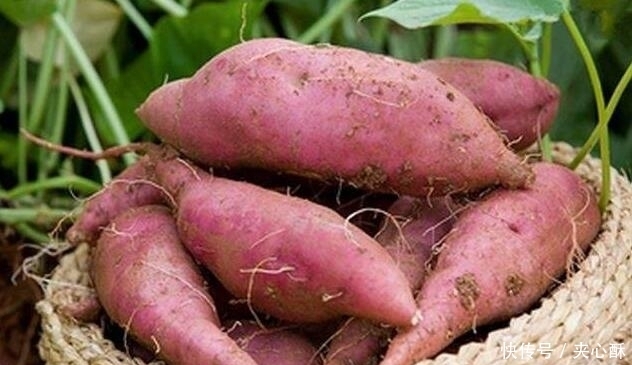 红润|地瓜与它是天生一对,一天一次,有效抑制胃酸,气色红润!