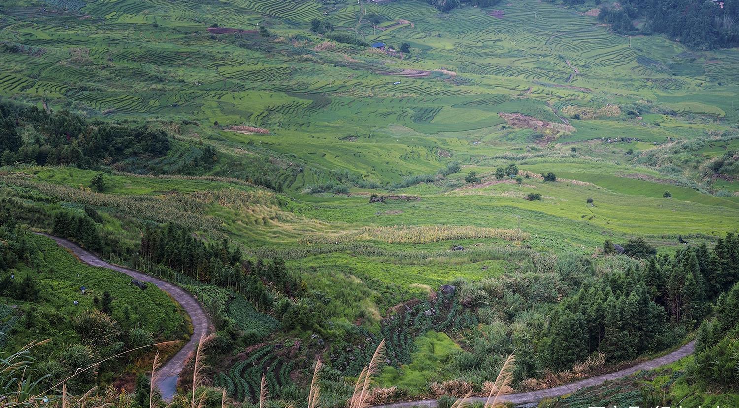 蛤蟆|养在深闺的联合梯田，蛤蟆一跳过三丘