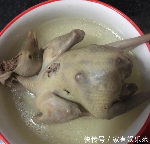 鸽子|清炖鸽子,营养滋补,清淡美味
