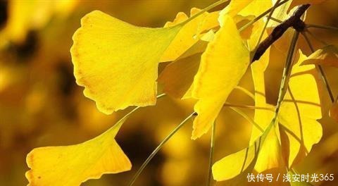 真准|喝一次酒,就看出一个人的性情!真准!(深度好文)