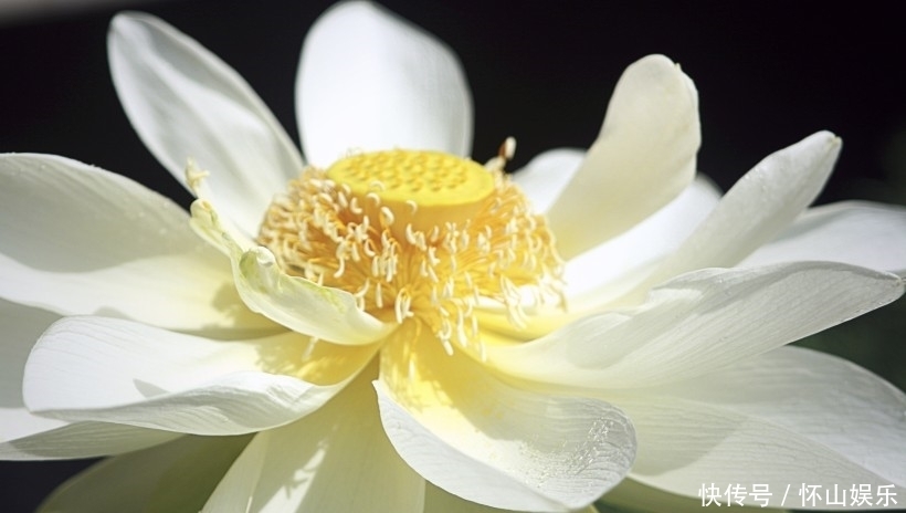 些朋友|10月开始，运势逆袭，横财不断，财富花不完的四大属相