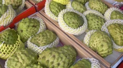 有人|被誉为“最甜水果”,比甘蔗甜,南方大量种植,北方却少有人吃过