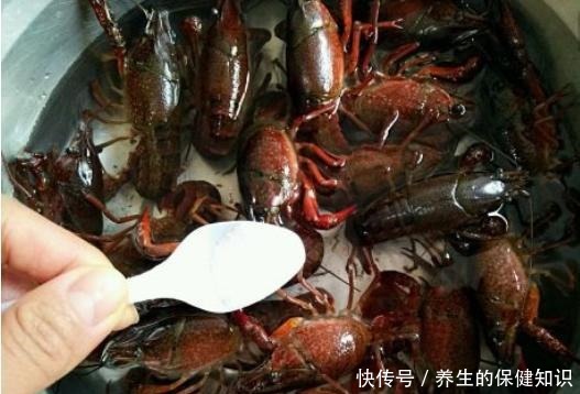 刷子|清洗小龙虾别只懂用刷子刷了,教你一招,脏东西自己吐出来