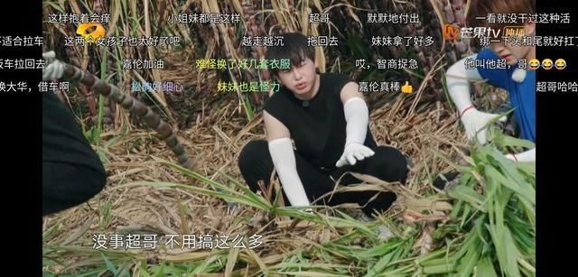 生活|任嘉伦对谭松韵就是不一样,《向往的生活》偷偷发糖戳到我了