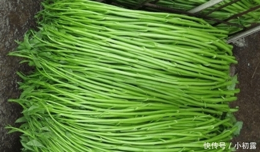 蔬菜|中国不起眼的蔬菜,起了个“洋名字”,出口到美国,卖的比肉还贵!