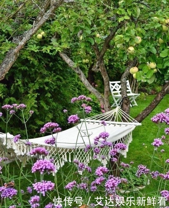 暮年|你我暮年,有个小院,足矣!