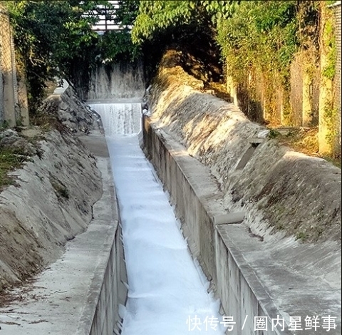 触发|泡沫成河！驻日美军吃烧烤触发灭火装置，附近河流被染白