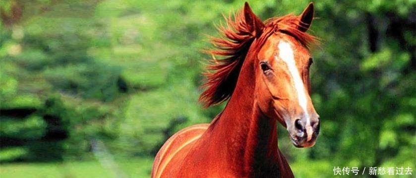 秦琼|秦琼一共换过6个领导，吕布却只换过3个，为何只有吕布被骂？