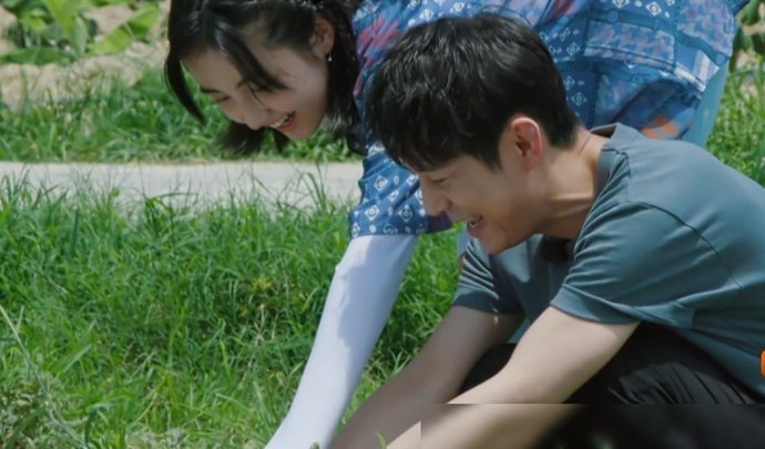 节目|《向往4》西瓜地终于长出西瓜,何炅扒开一看,穿帮镜头后期忘记了打码