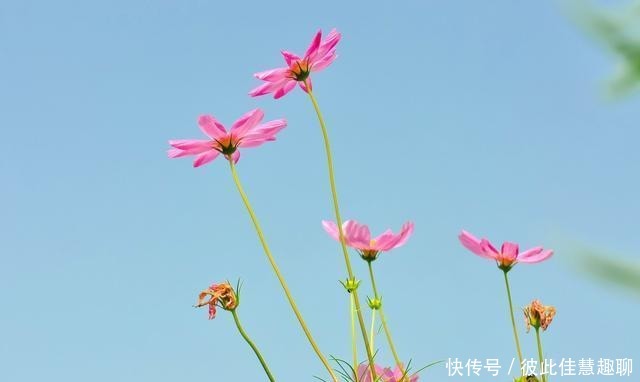 不靠|爱吹牛的人,一般都不靠谱