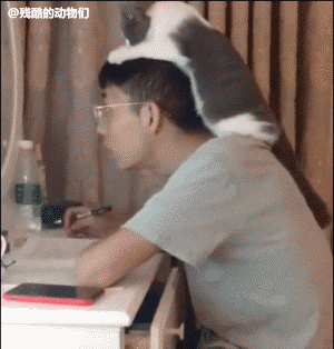 难道|搞笑GIF:这难道就是传说的轻功水上漂吗,这场地也太滑了吧: