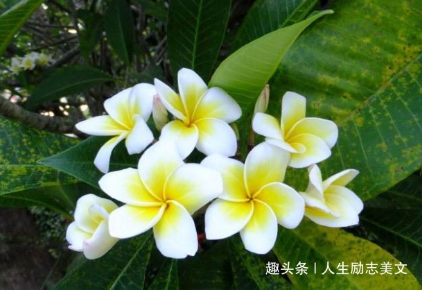 活出|老去的是年龄，不老的是气质！