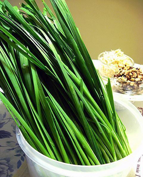 大错特错|包韭菜饺子,直接拌馅是大错特错,多加1步,韭菜翠绿,还不出水