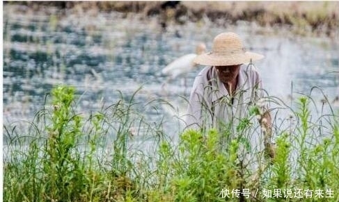 变冷|独居老人睡梦中,突然感觉被褥自己蠕动起来身下变冷,发生了什么