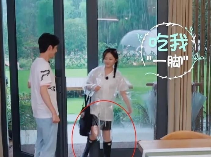 谭松韵|张新成假装不认识谭松韵,谁注意她的举动,关系好坏一目了然