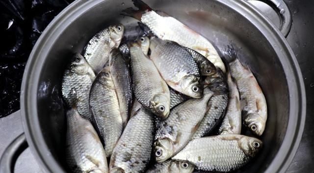 加热|鲫鱼豆腐汤熬好了,又鲜又白还美味,加热水还是凉水是重点