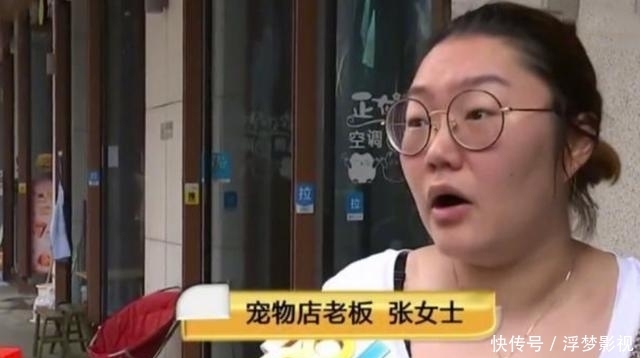 打瞎|小伙玩“水弹枪”打瞎猫咪,充电又把宠物店烧了,店主曾多次劝说