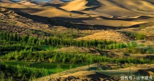 沙漠|中国人到底有多可怕?沙漠里养螃蟹,一年收入超过100万