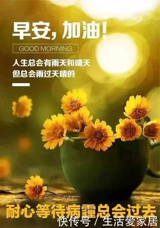 愿你|历经了风吹雨打,只盼在坎坷路上,能有一颗心相随,早安