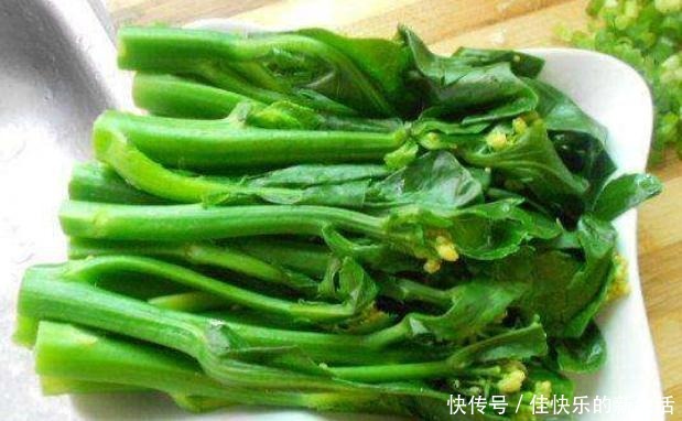 牛奶|钙含量超高的它,被叫做“蔬菜中的牛奶”,但是现在却无人问津