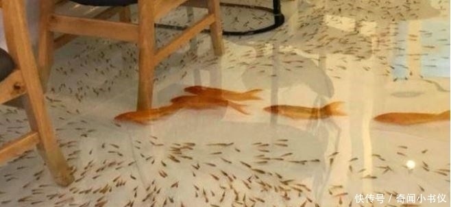 养鱼|在地板上养鱼的锦鲤咖啡厅走红越南,最怕顾客有脚气