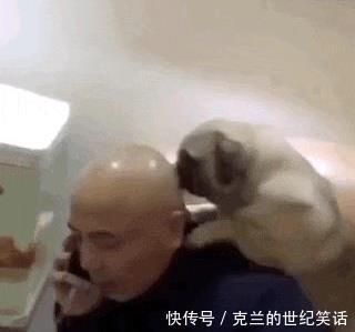 鼻血|“我流着鼻血表示,我看重的是这姑娘的内在美!做我女朋友吧!”哈哈哈哈哈