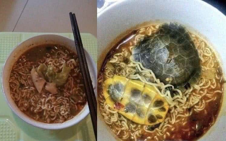 亲哥|亲哥煮面条vs女友煮面条,差距太明显,男友我觉得我不饿真的