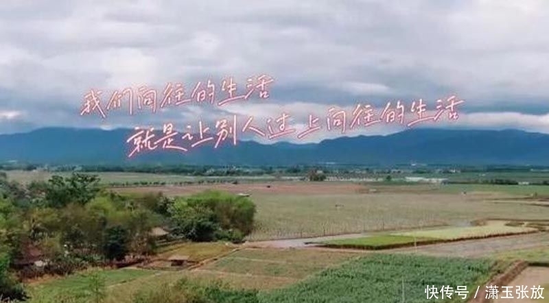直播|只看中薇娅这一点,《向往的生活》邀请其做客,而不是李佳琦