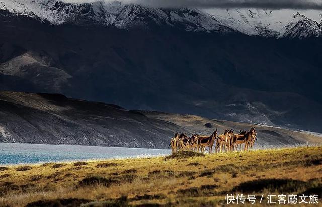 自驾|憋疯了!15条醉美新疆自驾线,正适合七八月挑一条出发!