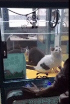 体验|搞笑GIF:小孩子,我想问问你此时蛋疼不疼呀?不亲自体验下哪里知道是啥快乐