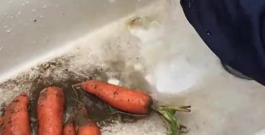 好吃|米饭这样吃真的超级好吃,满满都是回忆,喜欢赶紧收藏起来吧