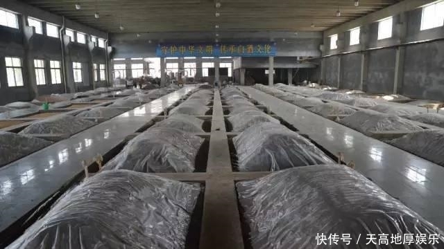 造假|茅台酒:5斤高粱产1斤酒被质疑造假?酒友:酒厂为何没有酒糟?