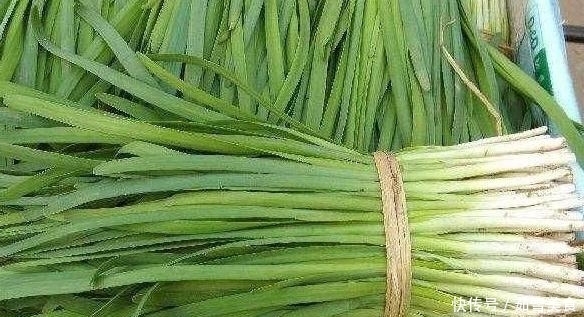  春天|韭菜馅饺子仅仅放韭菜是不够的，但我们需要再加两种饺子更香