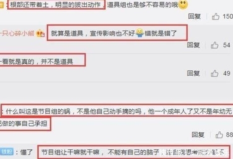 曝光|真相曝光!《极限挑战》刘宇宁摘雪莲花是二级保护植物,评论翻车