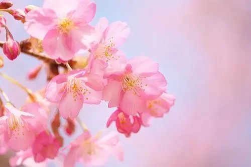  尺度|人生的价值，即以其人对于当代所做的工作为尺度