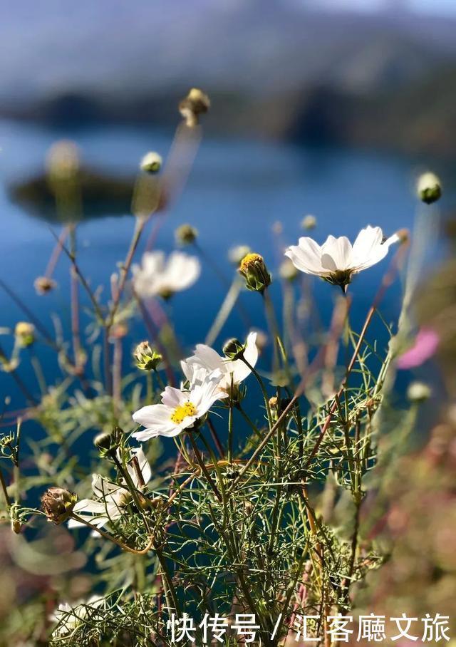  西双版纳|这个被各大热门综艺独宠的宝藏省份，真是仙到要疯！