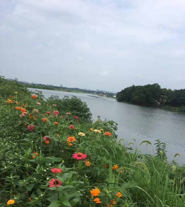 足以|竿梢常指水,足以慰风尘