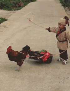 搞笑|搞笑GIF:妹子,不管你的球技怎么样,光看你这样的姿势我必须给你满分