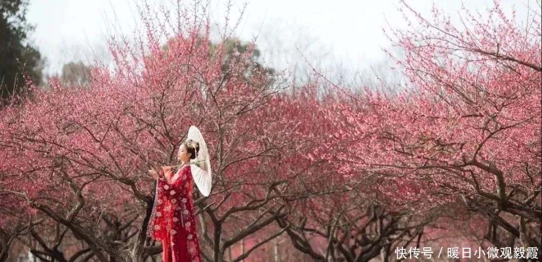 浅谈|浅谈秀丽东方IP对成都公园城市建设的借鉴作用