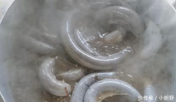 大妈|大妈路边卖它,20元一斤,每天6大锅不够卖,顾客:就怕来晚