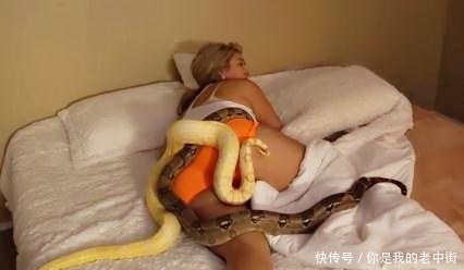 还击|男子用蟒蛇恶作剧女友，女友用8000响鞭炮还击