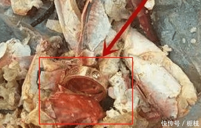  女子|女子4万元钻戒丢失，环卫工翻遍8吨垃圾找到，女子：请客喝水！
