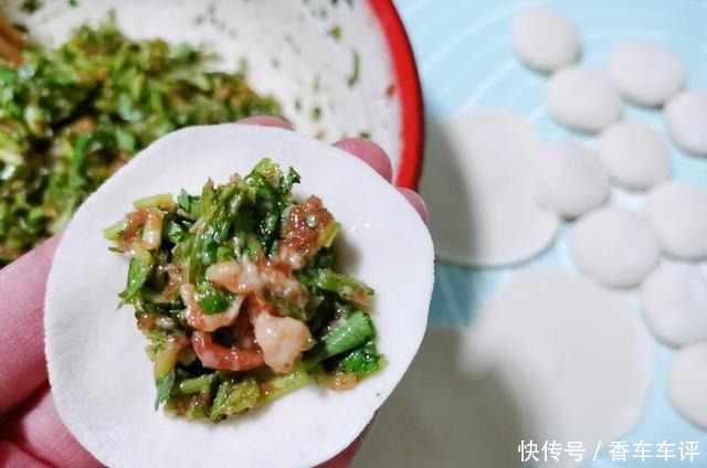 香菜的朋友|包香菜馅饺子时,切记2个要点,很多人不懂,难怪饺子不鲜也不香