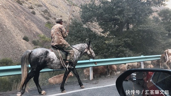 自驾|憋疯了!15条醉美新疆自驾线,正适合七八月挑一条出发!