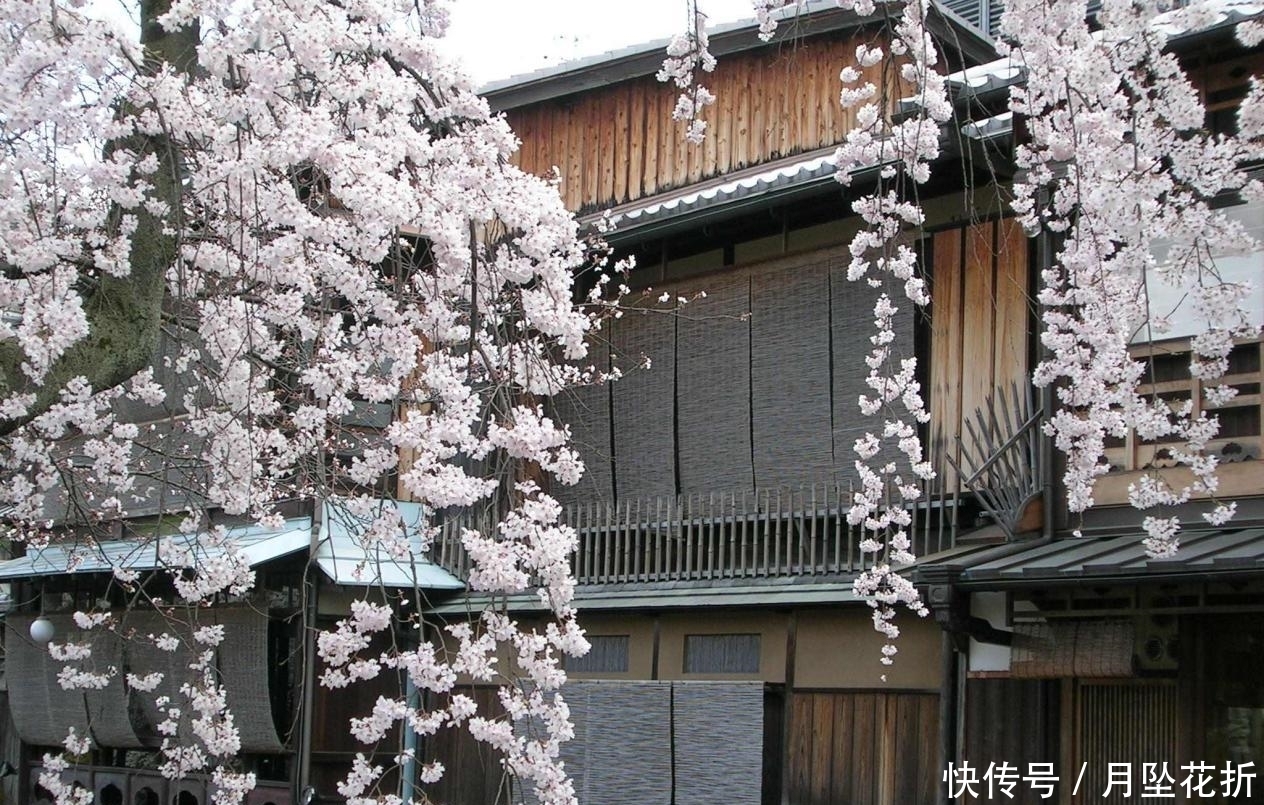  逆风|不要着急结婚的几星座，遇到真爱不放手，逆风翻盘收获美好姻缘